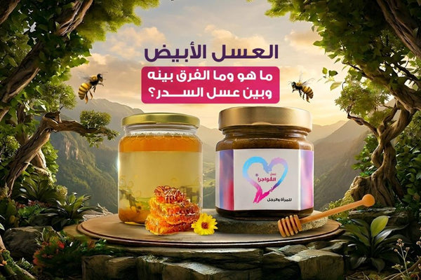 العسل الأبيض: ما هو وما الفرق بينه وبين عسل السدر؟