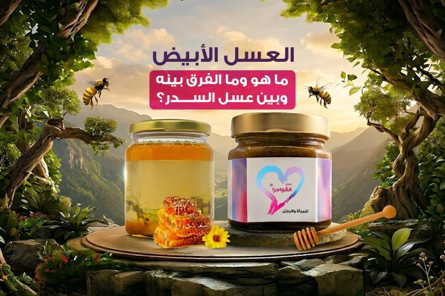 العسل الأبيض: ما هو وما الفرق بينه وبين عسل السدر؟